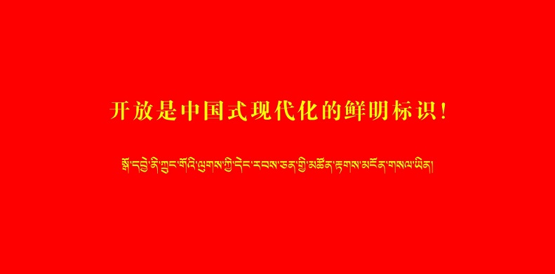 开放是中国式现代化的鲜明标识