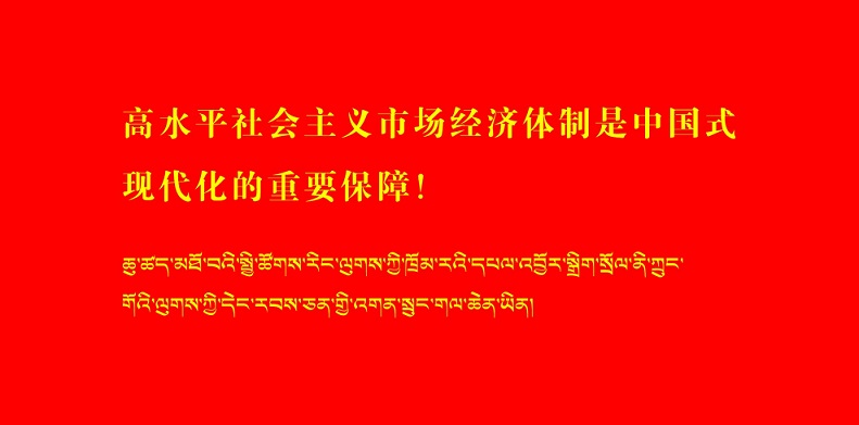 高水平社会主义市场经济体制是中国式现...